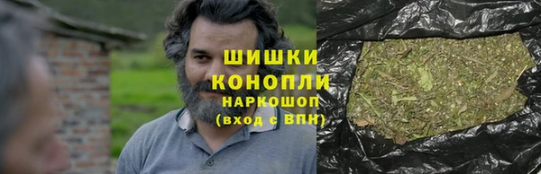 прущие грибы Карталы