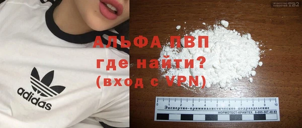 спайс Касимов