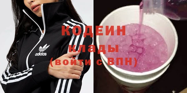 прущие грибы Карталы