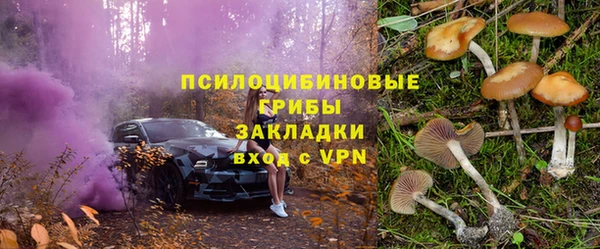 прущие грибы Карталы