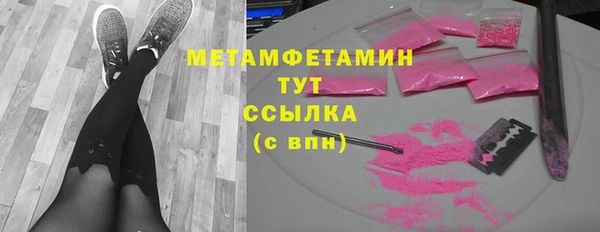 прущие грибы Карталы