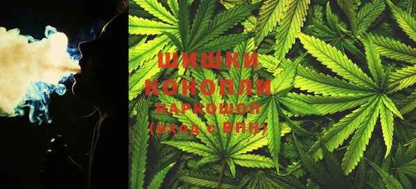 PSILOCYBIN Карпинск