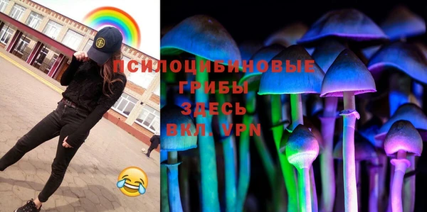 прущие грибы Карталы