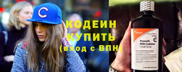 прущие грибы Карталы