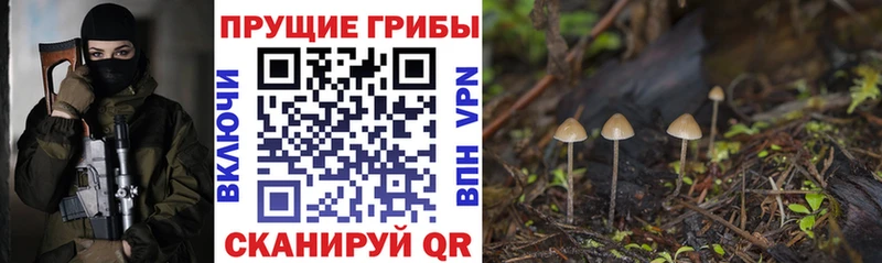 Псилоцибиновые грибы прущие грибы  Купить  Аткарск 